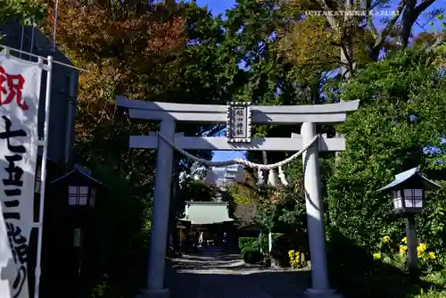 星川杉山神社(神奈川県)