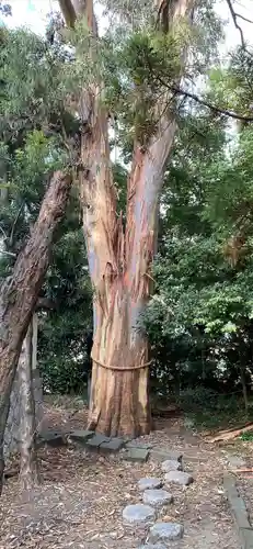 元城町東照宮の自然