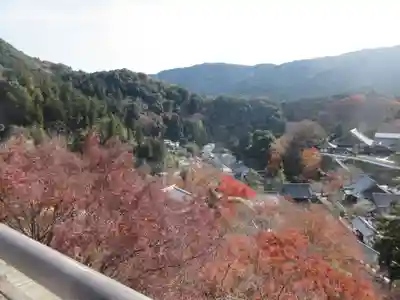 長谷寺(奈良県)