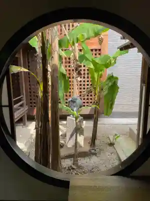 建仁寺（建仁禅寺）(京都府)