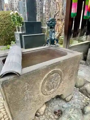 大円寺の{uncategorized: "未分類", other: "その他", undefined: "問題あり", building: "その他建物", grave: "お墓", sacred_gate: "鳥居", guardian: "狛犬", statue: "像", buddha: "仏像", history: "歴史", nature: "自然", garden: "庭園", animal: "動物", pagoda: "塔", temizu: "手水舎", mountain_gate: "山門・神門", sanctuary: "本殿・本堂", subordinate: "末社・摂社", art: "芸術", scenery: "景色", jizo: "地蔵", ema: "絵馬", goshuin: "御朱印", omikuji: "おみくじ", items: "授与品その他", amulet: "お守り", goshuincho: "御朱印帳", eats: "食事", festival: "お祭り", votive_dance: "神楽", shichigosan: "七五三参", wedding: "結婚式", experience: "体験その他", initially: "初詣", around: "周辺", anti_infection: "感染症対策"}