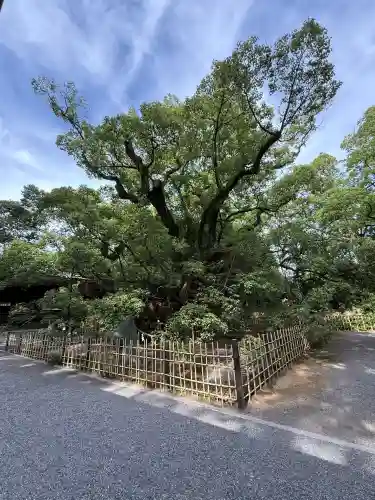 浜松八幡宮(静岡県)