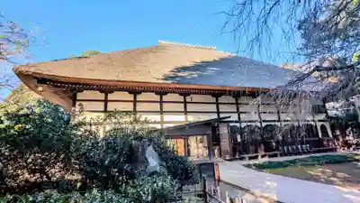 茂林寺の本殿・本堂