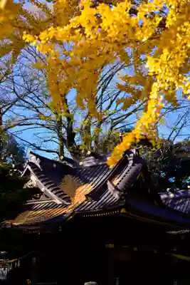 玉敷神社(埼玉県)