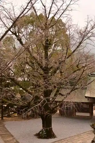 和霊神社(愛媛県)