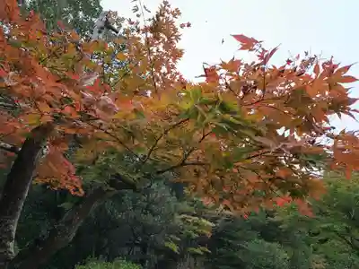 兵主大社(滋賀県)