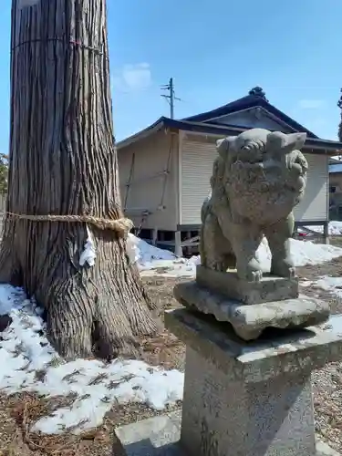 新掘八幡宮の狛犬