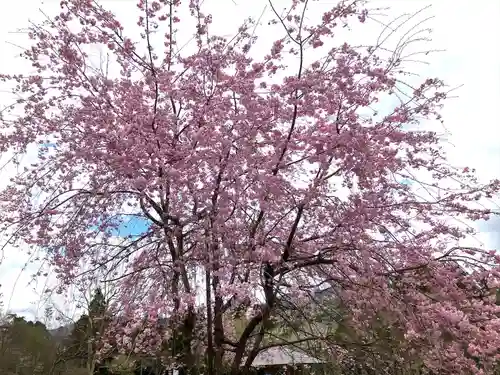 淡墨観音(岐阜県)