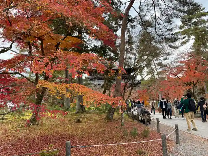 南禅院(京都府)