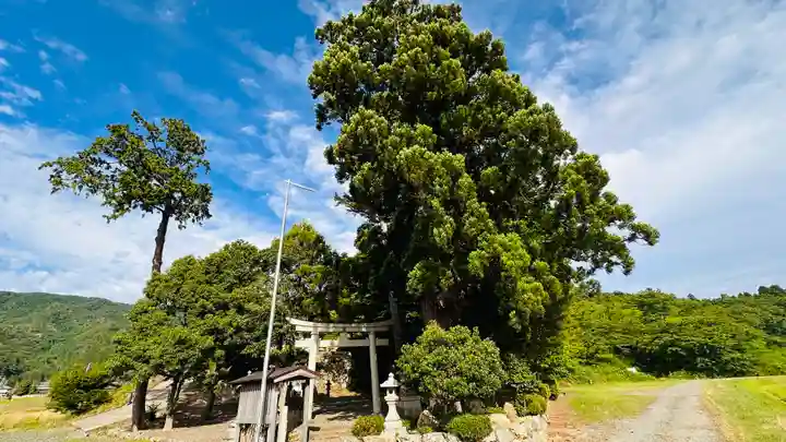 大幡彦姫神社(福井県)