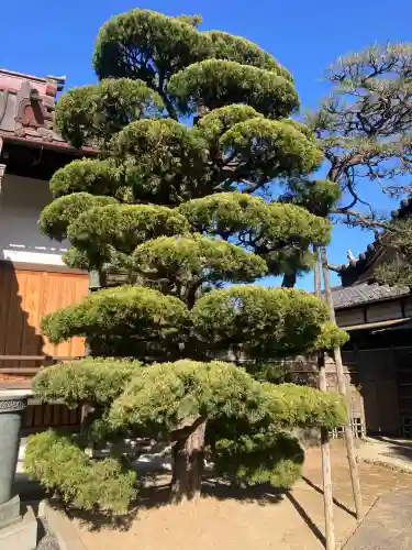 眞頂院の{uncategorized: "未分類", other: "その他", undefined: "問題あり", building: "その他建物", grave: "お墓", sacred_gate: "鳥居", guardian: "狛犬", statue: "像", buddha: "仏像", history: "歴史", nature: "自然", garden: "庭園", animal: "動物", pagoda: "塔", temizu: "手水舎", mountain_gate: "山門・神門", sanctuary: "本殿・本堂", subordinate: "末社・摂社", art: "芸術", scenery: "景色", jizo: "地蔵", ema: "絵馬", goshuin: "御朱印", omikuji: "おみくじ", items: "授与品その他", amulet: "お守り", goshuincho: "御朱印帳", eats: "食事", festival: "お祭り", votive_dance: "神楽", shichigosan: "七五三参", wedding: "結婚式", experience: "体験その他", initially: "初詣", around: "周辺", anti_infection: "感染症対策"}