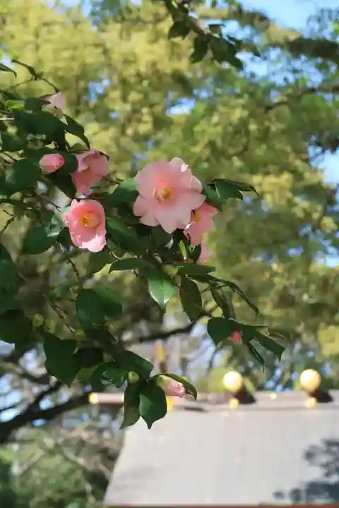 八剣宮(熱田神宮別宮)(愛知県)