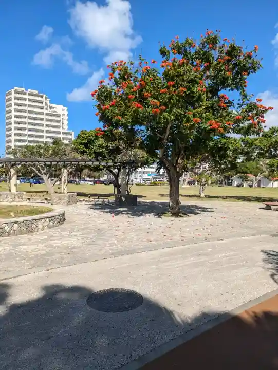 沖縄県護国神社(沖縄県)