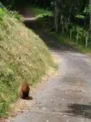 愛宕神社の動物