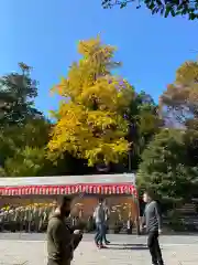 秩父神社(埼玉県)