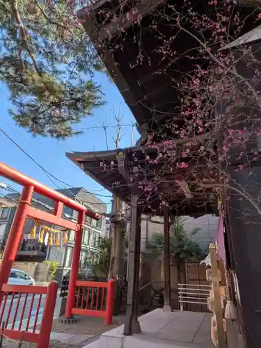 猿田彦神社(東京都)