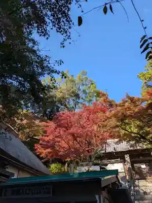 大興善寺の庭園