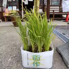 七重浜海津見神社(北海道)