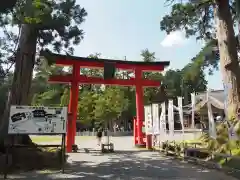 出羽神社(出羽三山神社)～三神合祭殿～の鳥居