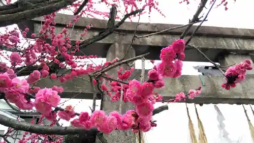 須賀神社の自然