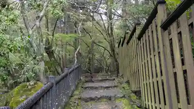 醍醐寺(京都府)