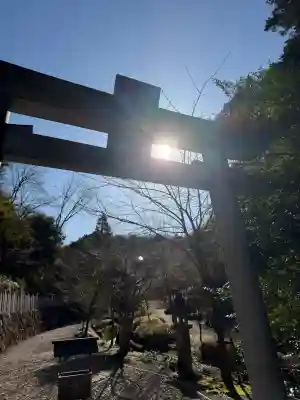 大縣神社の{uncategorized: "未分類", other: "その他", undefined: "問題あり", building: "その他建物", grave: "お墓", sacred_gate: "鳥居", guardian: "狛犬", statue: "像", buddha: "仏像", history: "歴史", nature: "自然", garden: "庭園", animal: "動物", pagoda: "塔", temizu: "手水舎", mountain_gate: "山門・神門", sanctuary: "本殿・本堂", subordinate: "末社・摂社", art: "芸術", scenery: "景色", jizo: "地蔵", ema: "絵馬", goshuin: "御朱印", omikuji: "おみくじ", items: "授与品その他", amulet: "お守り", goshuincho: "御朱印帳", eats: "食事", festival: "お祭り", votive_dance: "神楽", shichigosan: "七五三参", wedding: "結婚式", experience: "体験その他", initially: "初詣", around: "周辺", anti_infection: "感染症対策"}