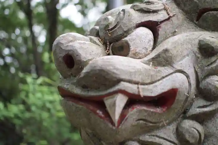 堀口天満天神社の狛犬