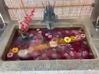 札幌諏訪神社の手水舎