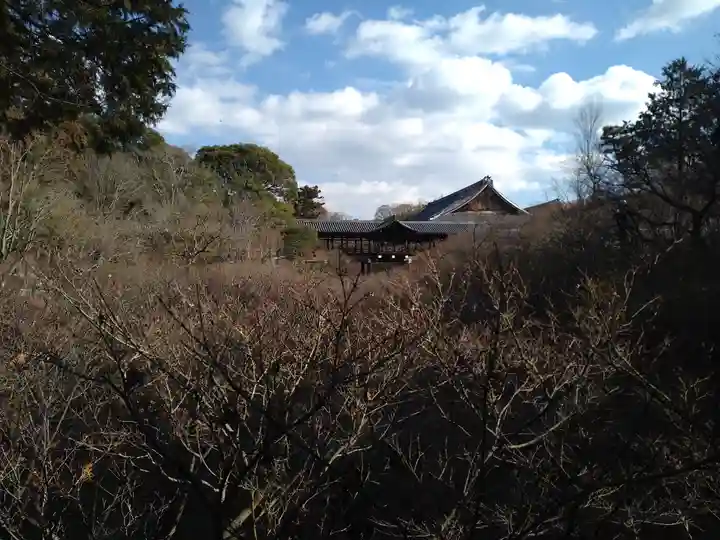 東福禅寺(東福寺)(京都府)
