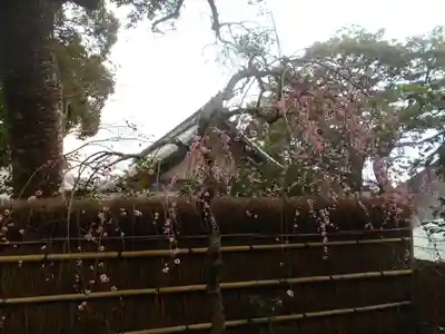 荏柄天神社のその他建物