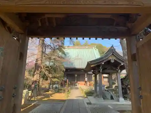 妙楽寺の山門