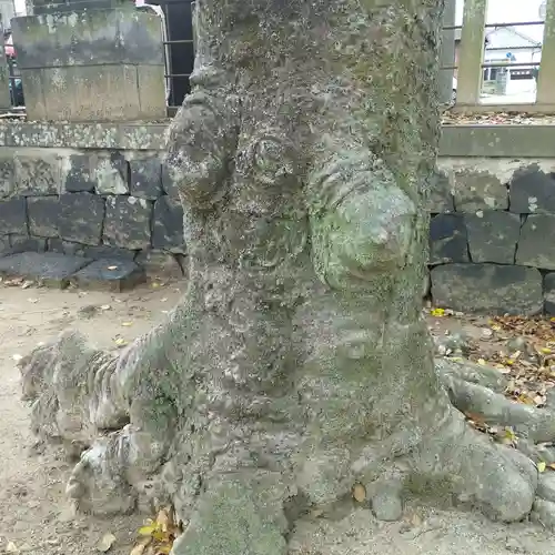 四王子神社(熊本県)