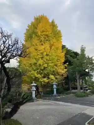 宝珠院(神奈川県)