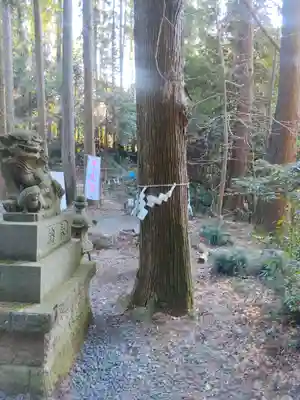 愛宕神社(栃木県)