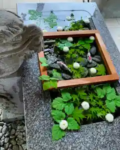 滑川神社 - 仕事と子どもの守り神(福島県)(2025年05月05日(月) 10時53分40秒投稿)