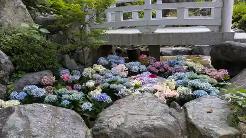 岡寺（龍蓋寺）(奈良県)