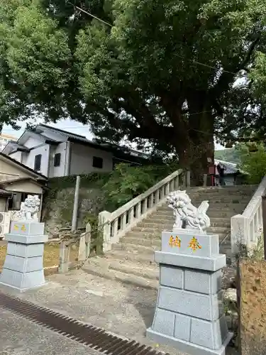 山王神社の狛犬