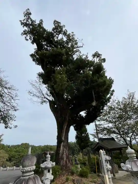長谷寺(神奈川県)