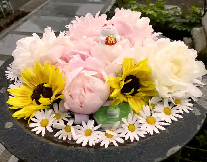 真言宗 善通寺派 薬王寺(香川県)