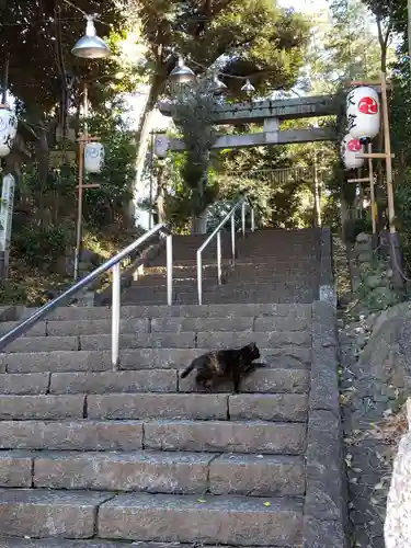 代々木八幡宮の鳥居