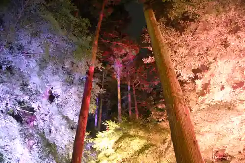 円通院(宮城県)