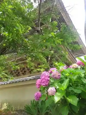 光明寺のその他建物