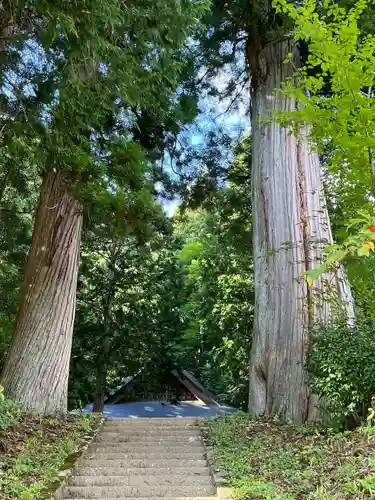 戸隠神社火之御子社の自然