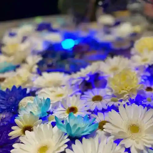 札幌諏訪神社の手水舎