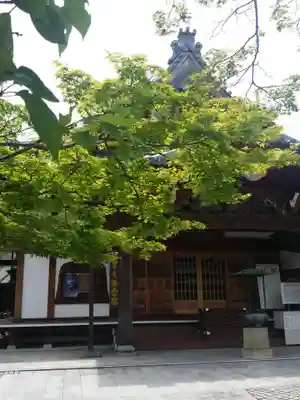 桜寿院の本殿・本堂