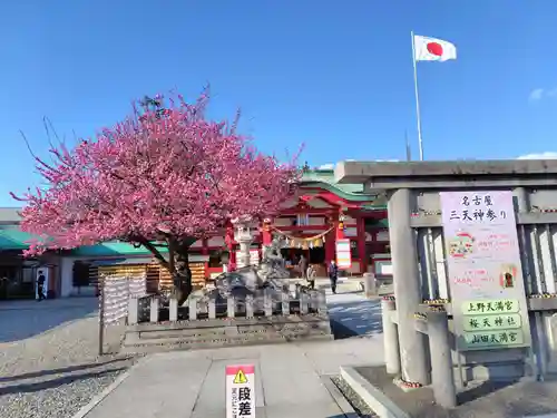 上野天満宮(愛知県)