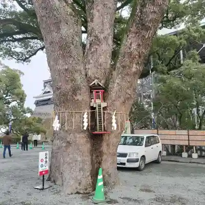 加藤神社(熊本県)