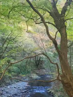 蓬莱神社の自然