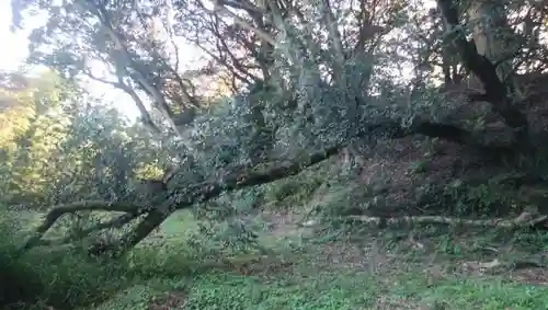 羽黒神社･三峯神社の周辺