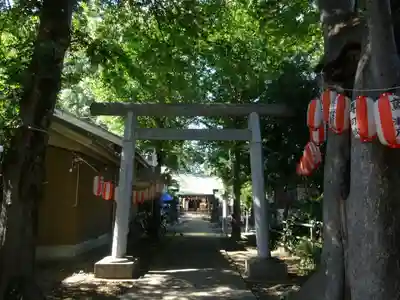 神明大神（中丸子神社）(神奈川県)